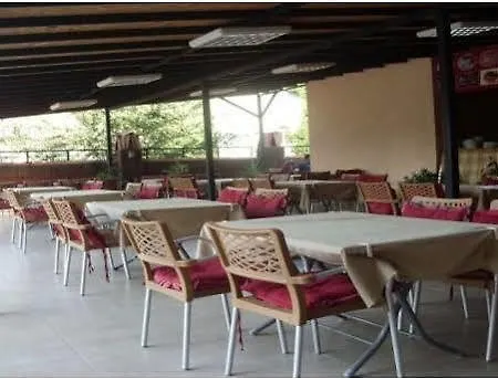 Ozalp أورتاجا